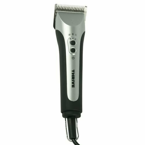 Máquina profesional Thrive 808-4S