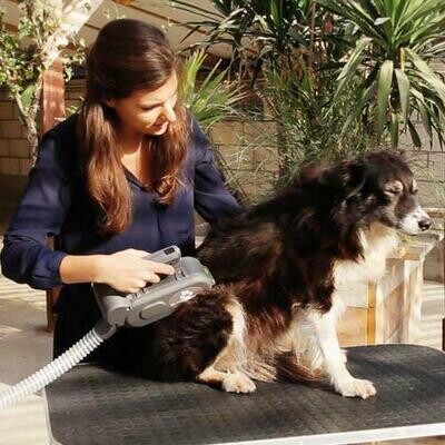REPUESTO CARDA AUTODOG BRUSH - Cepillo automático