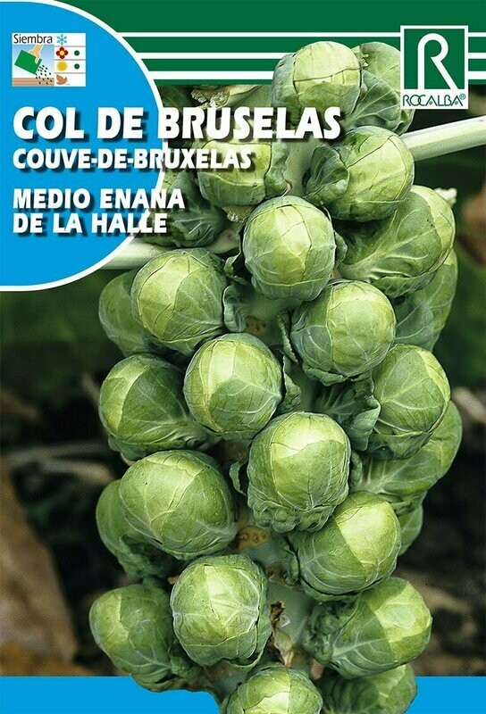 HORTALIZAS COL DE BRUSELAS M.ENANA DE LA HALLE