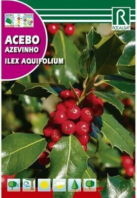 ARBOL ACEBO