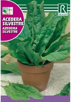 MEDICINALES, AROMATICAS Y CULINARIAS ACEDERA SILVESTRE