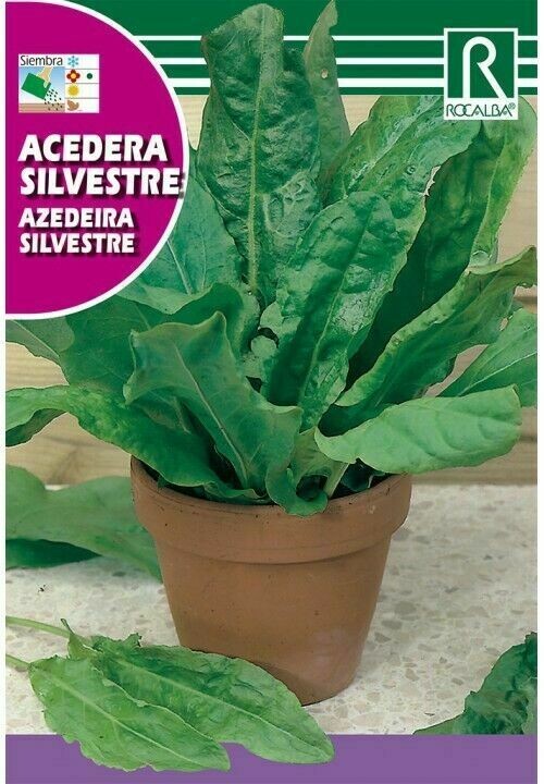 MEDICINALES, AROMATICAS Y CULINARIAS ACEDERA SILVESTRE