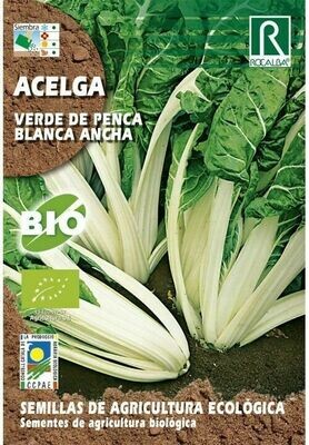 HORTALIZAS ECOLOGICAS ACELGA VERDE PENCA ANCHA BLANCA