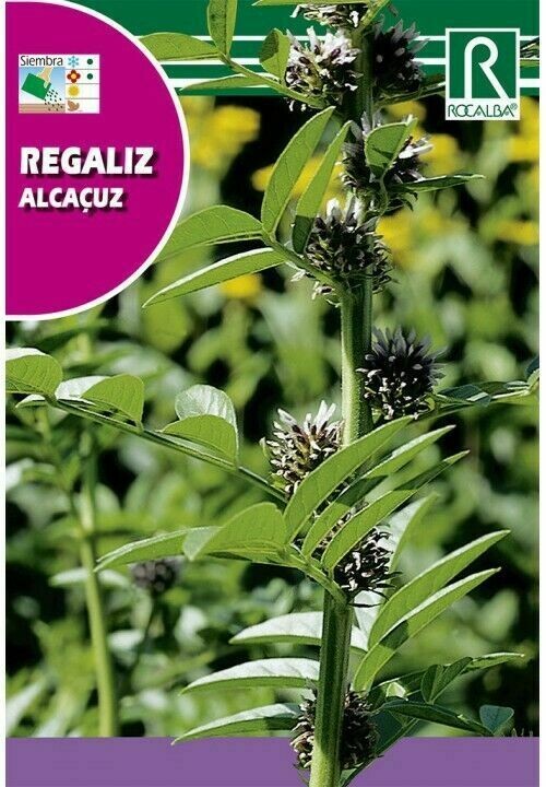MEDICINALES, AROMATICAS Y CULINARIAS REGALIZ
