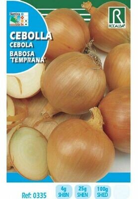 CEBOLLA VALENCIANA TARDIA DE EXPORTACION