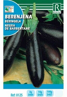 HORTALIZAS BERENJENA NEGRA DE BARBENTANE