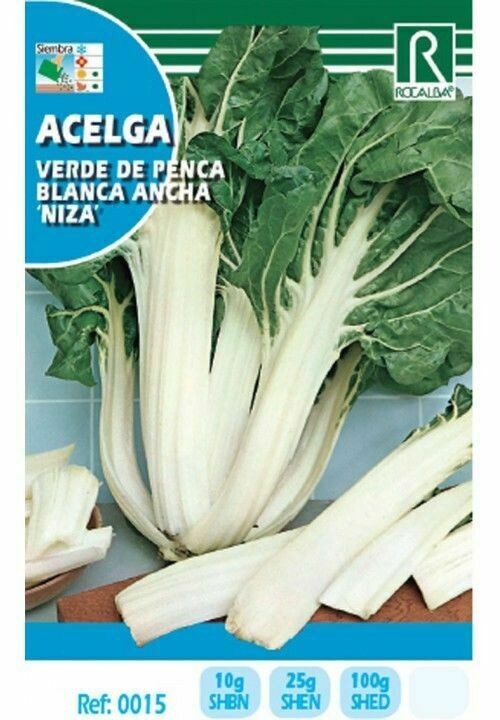 HORTALIZAS ACELGA VERDE DE PENCA BLANCA ANCHA"NIZA