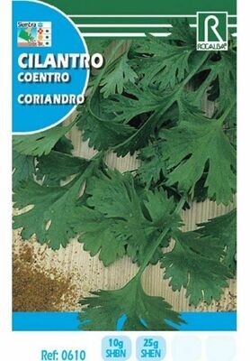 HORTALIZAS CILANTRO (CORIANDRO)