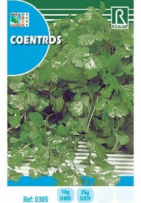 HORTALIZAS  COENTROS