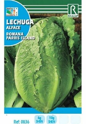 HORTALIZAS LECHUGA ROMANA PARRIS ISLAND