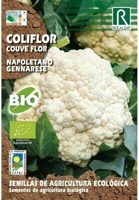 HORTALIZAS ECOLOGICAS COL MILAN VIRTUDES 2