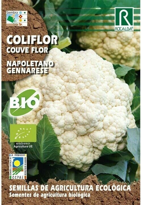 HORTALIZAS ECOLOGICAS COL MILAN VIRTUDES 2
