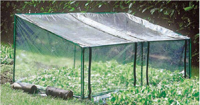 Invernadero “Primizia” 180x92xh70 cm