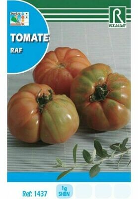 HORTALIZAS TOMATE RAF