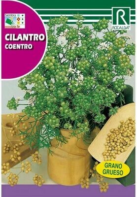 MEDICINALES, AROMATICAS Y CULINARIAS CILANTRO MEDICINALES, AROMATICAS Y CULINARIAS CILANTRO