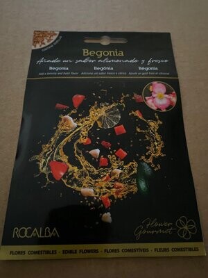 FLORES COMESTIBLES SEMILLAS BEGONIA