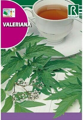 MEDICINALES, AROMATICAS Y CULINARIAS VALERIANA