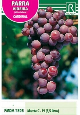 FRUTALES PARRA CARDINAL VIOLETA, OVALADO DULCE
