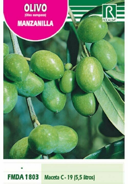FRUTALES OLIVO -MANZANILLA-