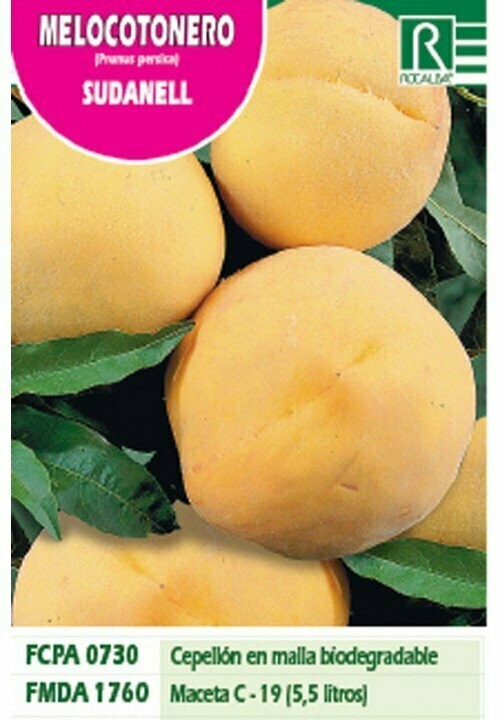FRUTALES MELOCOTONERO SUDANELL -amarillo estr.rojO-