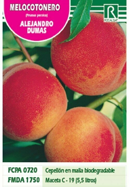 FRUTALES MELOCOTONERO ALEJANDRO DUMAS -rojo fuertE-