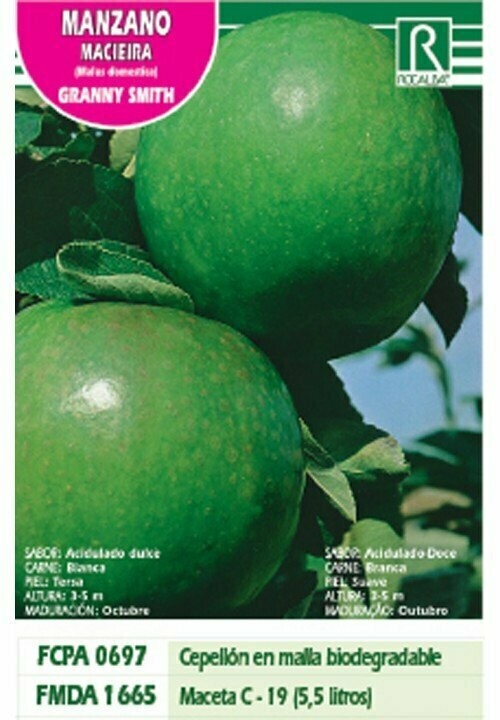 FRUTALES MANZANO GRANNY SMITH