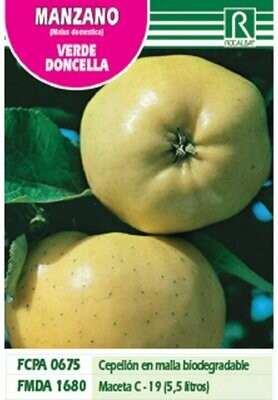 FRUTALES MANZANO VERDE DONCELLA -Blanco crema-