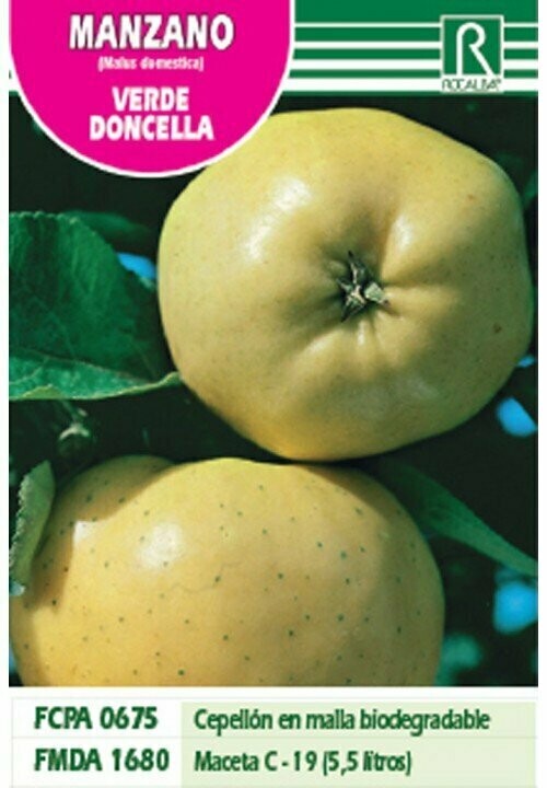 FRUTALES MANZANO VERDE DONCELLA -Blanco crema-