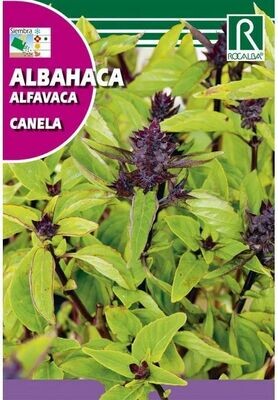 AROMATICAS Y MEDICINALES ALBAHACA CANELA