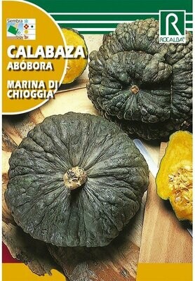 CALABAZA MARINA DI CHIOGGIA