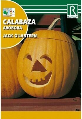 CALABAZA ROUGE VIF D'ETAMPES