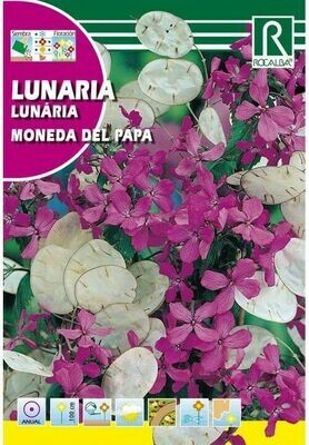 FLORES LUNARIA