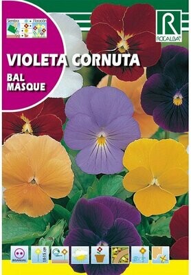 FLORES VIOLETA CORNUTA