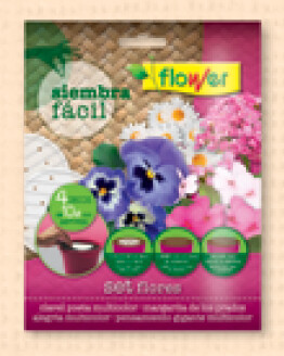 SIEMBRA FACIL SET FLORES