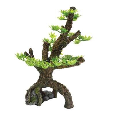 Árbol bosque de pinos de ICA