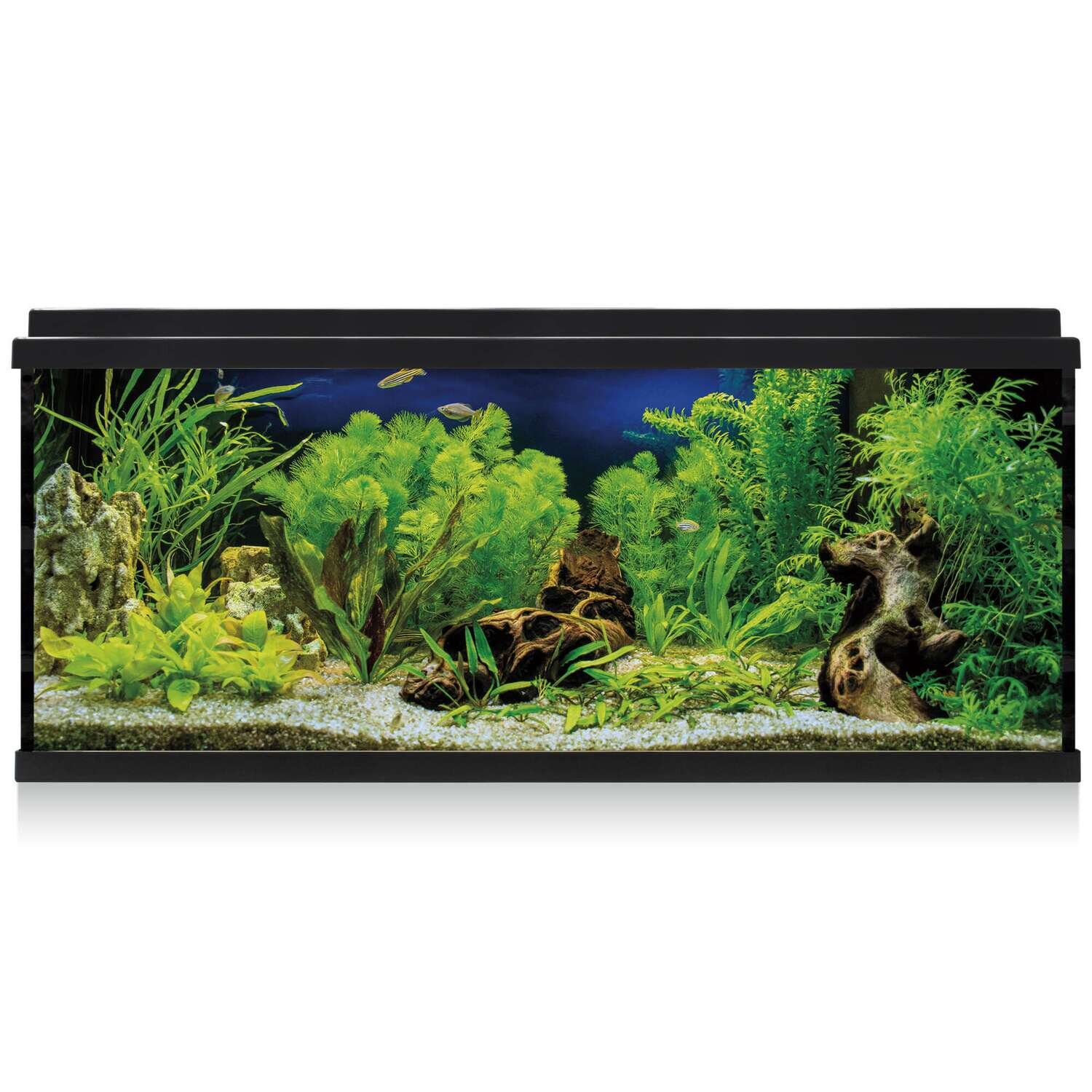 Kit AQUA LED 100 con filtro interior 79,7x30,5x44,2 cm