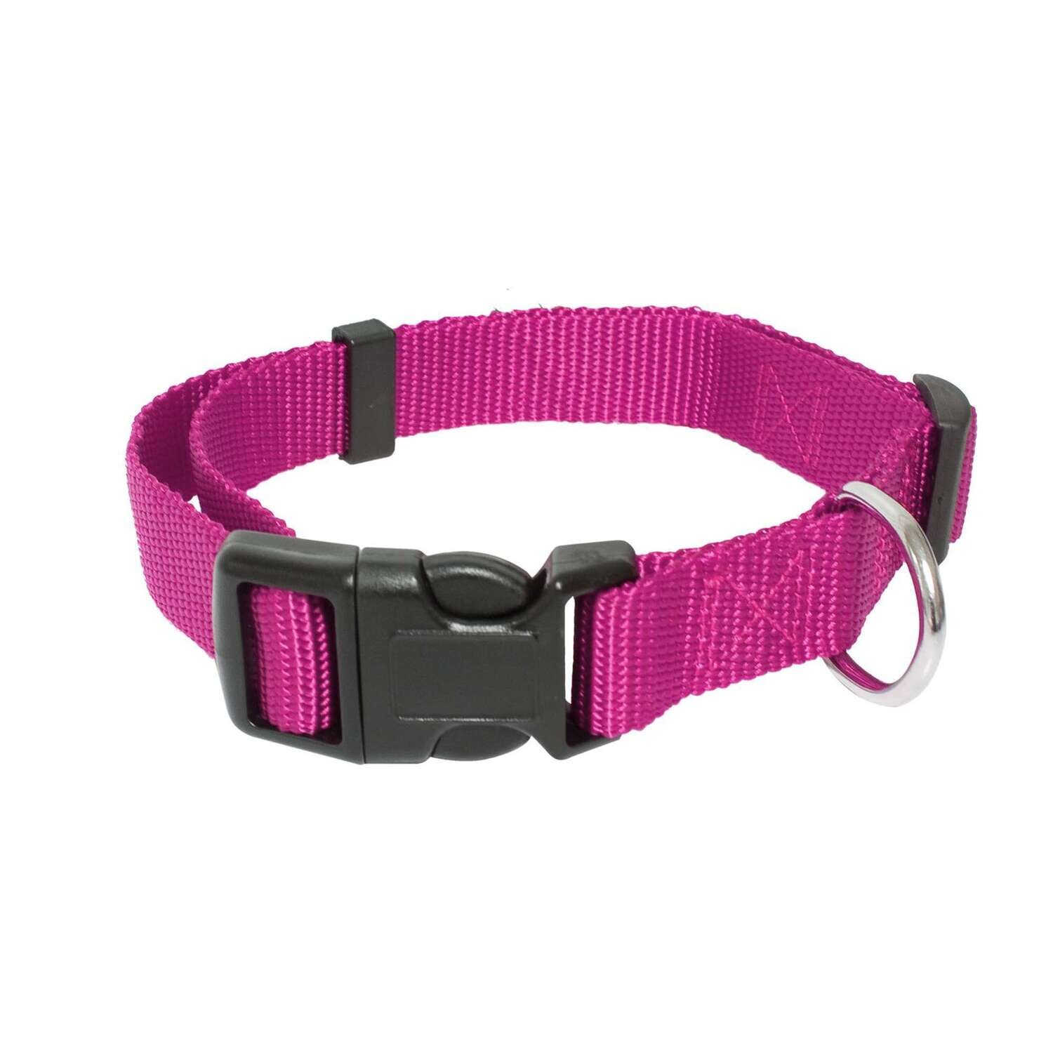 Collar Lisa Classic rosa 2,5 cm 41-60 cm
