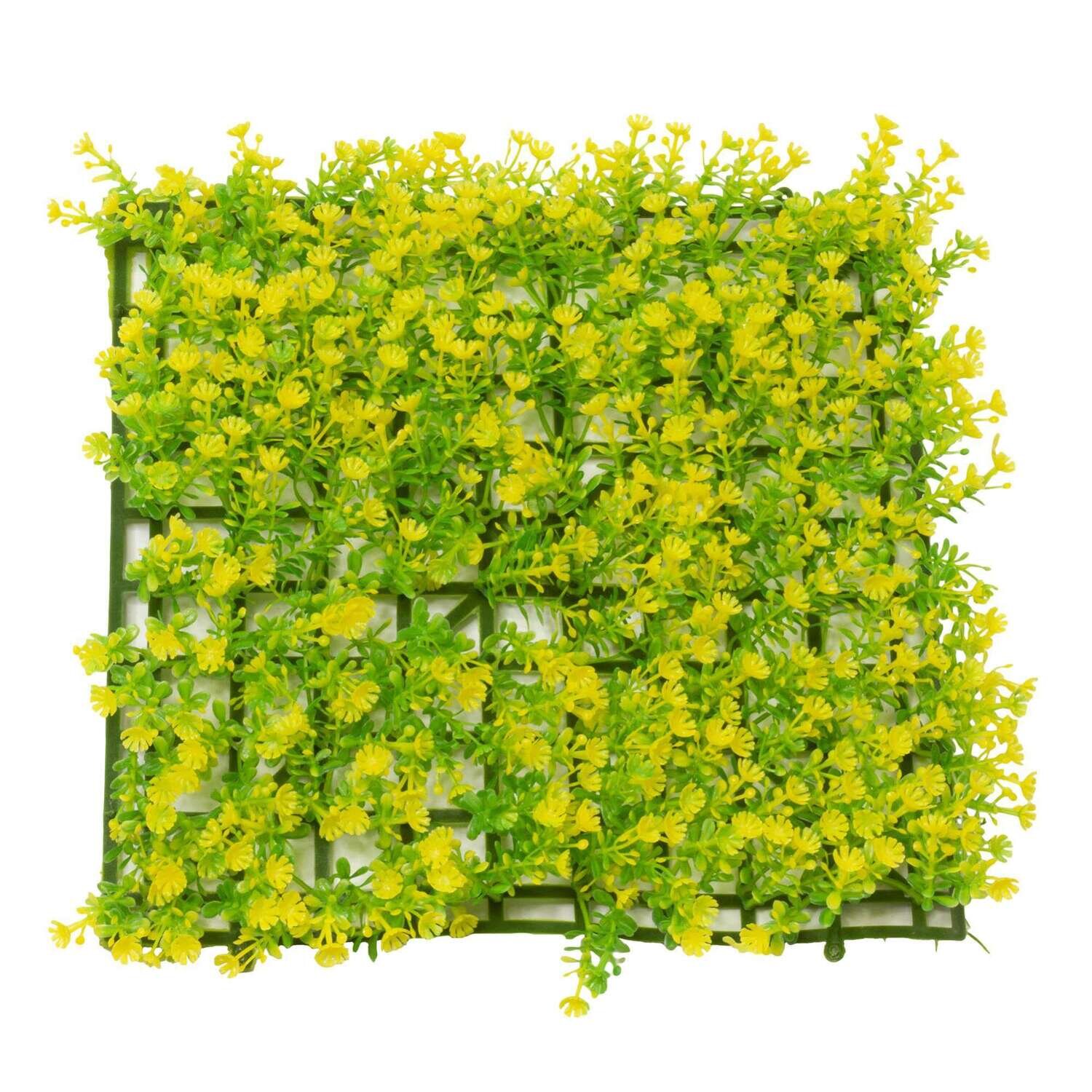 Planta salvacr�as amarilla 25x25 cm