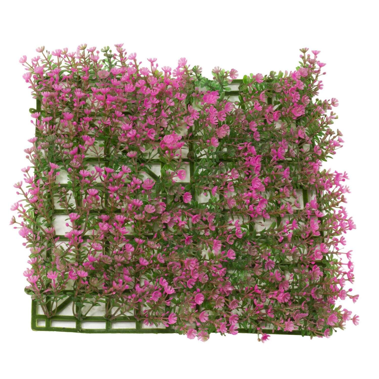 Planta salvacr�as rosada  25x25 cm
