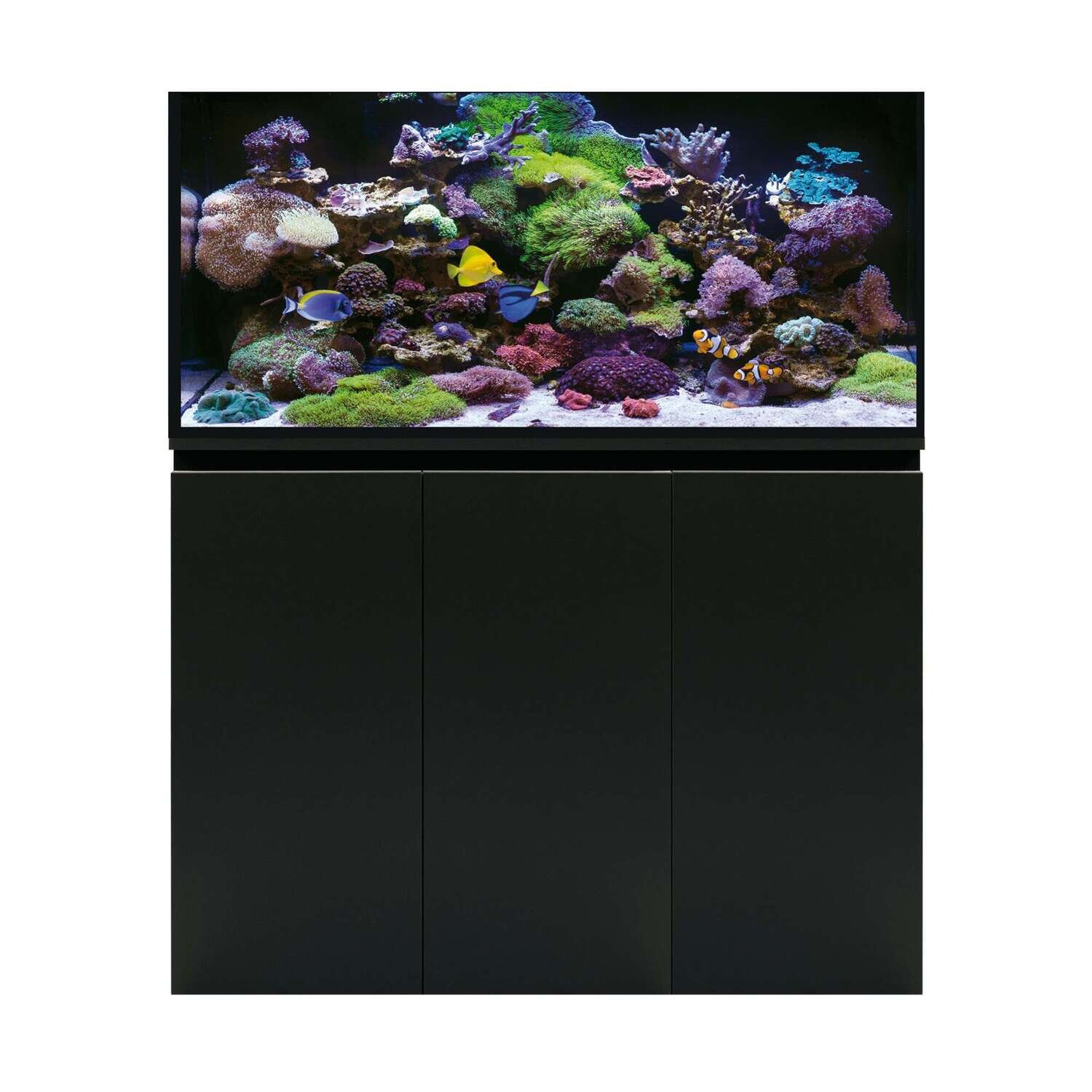 Acuario marino con Sump AQUA OCEAN PRO (sin l�mpara) 120x50x145 cm