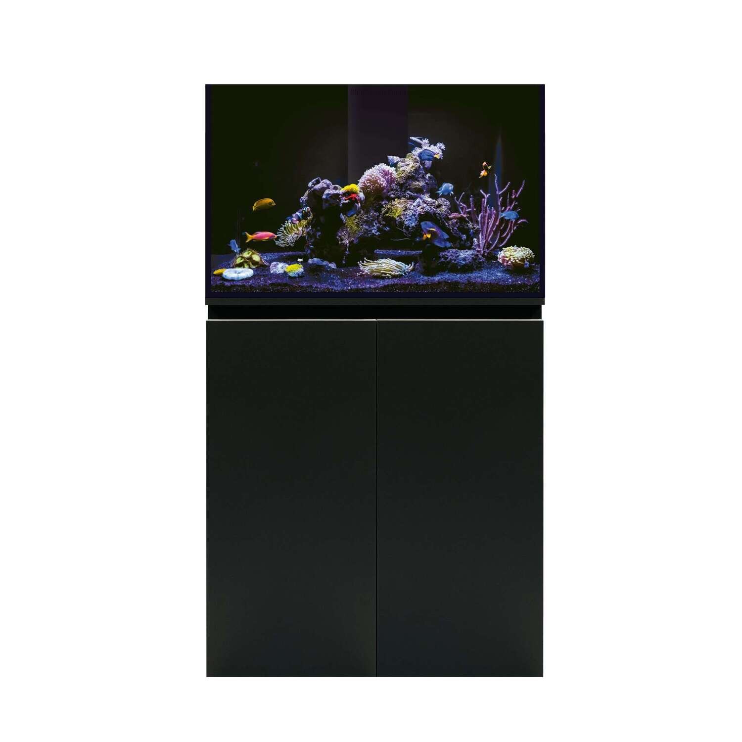 Acuario marino AQUA OCEAN SUMP PRO (sin l�mpara) 80x50x140 cm