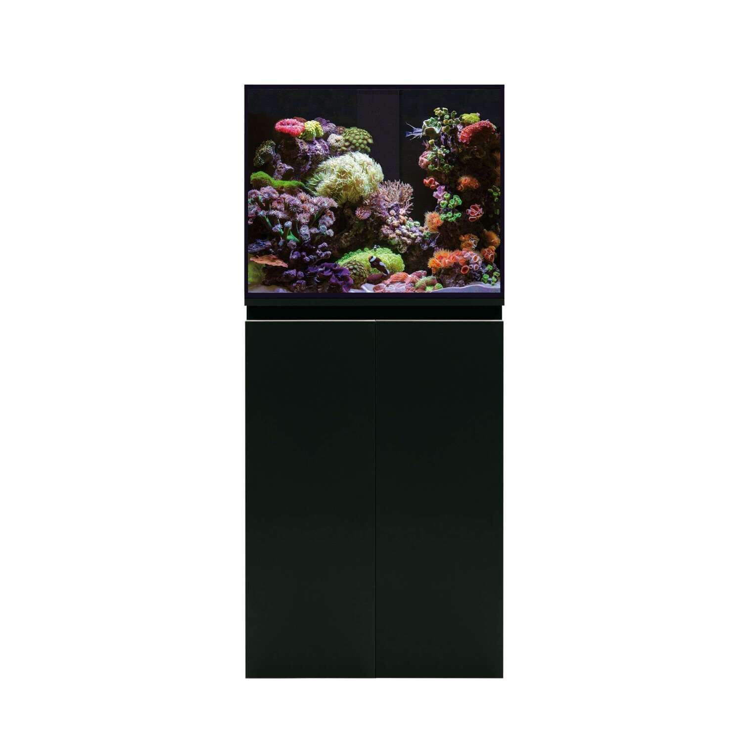 Acuario marino AQUA OCEAN SUMP PRO (sin l�mpara) 60x50x140 cm