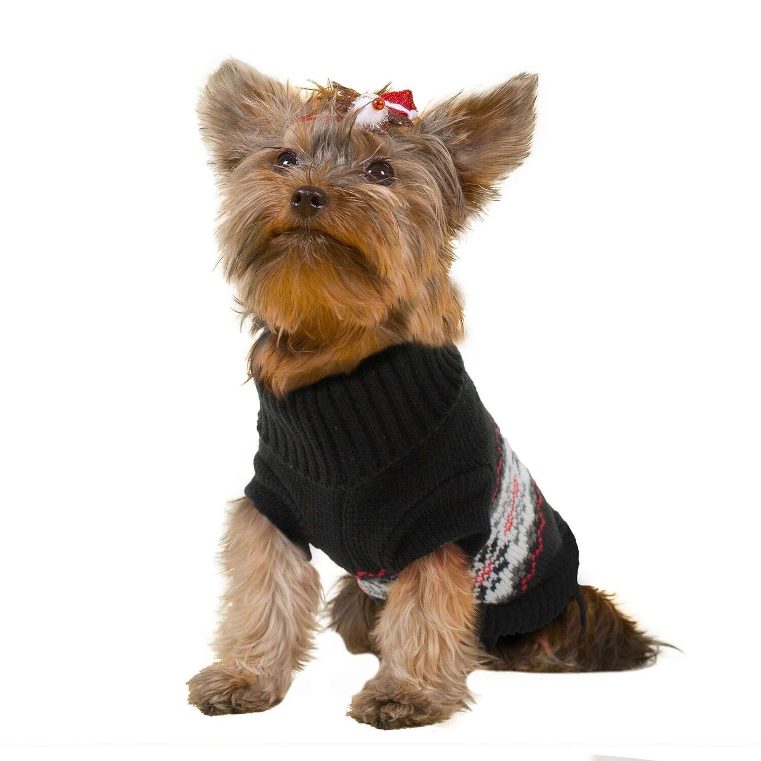 Jersey invierno negro de ALPHA DOG 25 cm