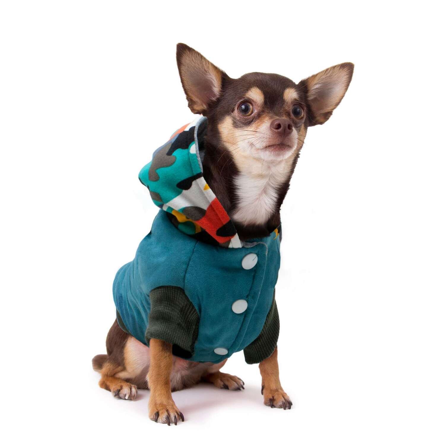 Abrigo con capucha de colores de ALPHA DOG 45 cm