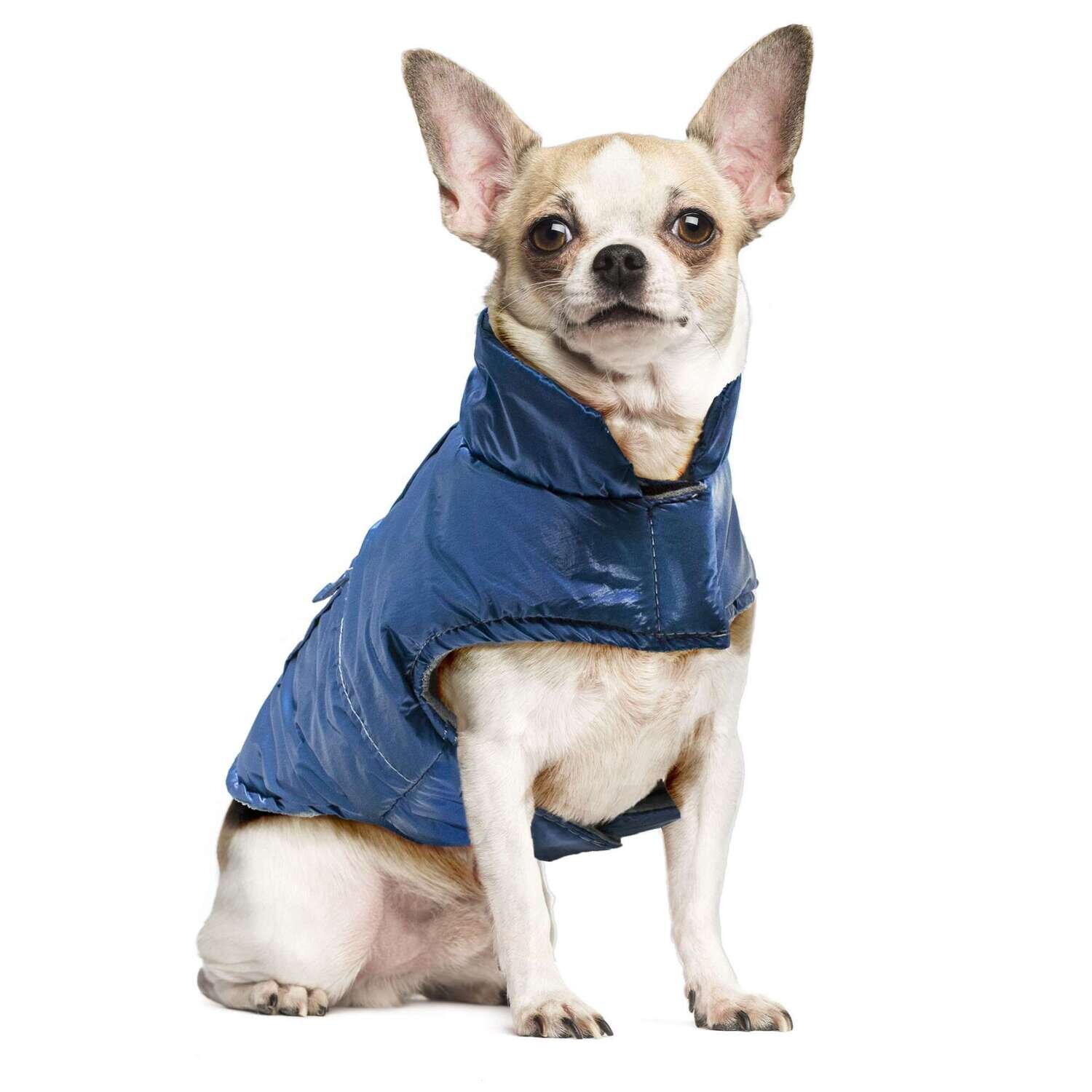 Abrigo metalizado azul de ALPHA DOG 30 cm