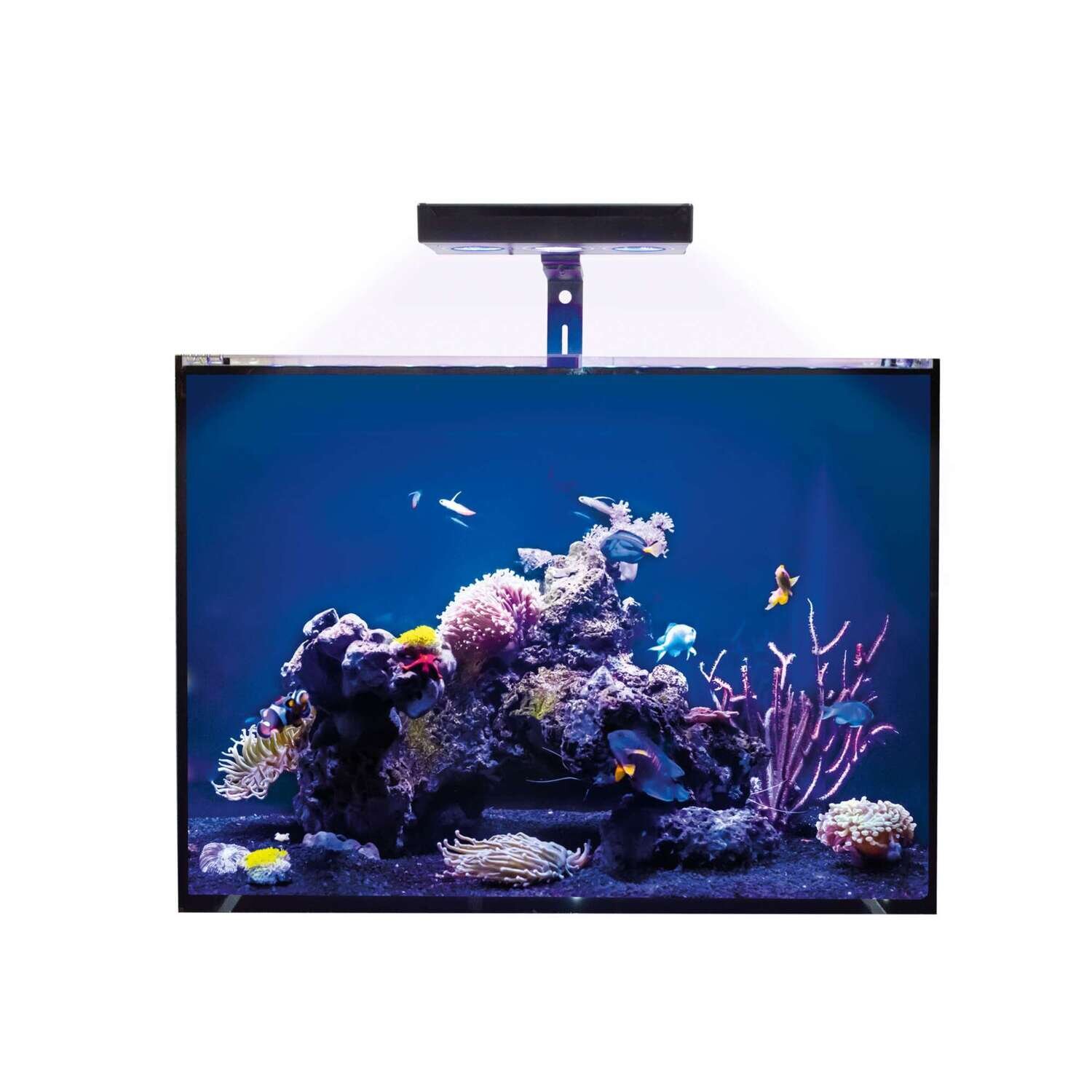Acuario marino KORAL 60x30x45 cm