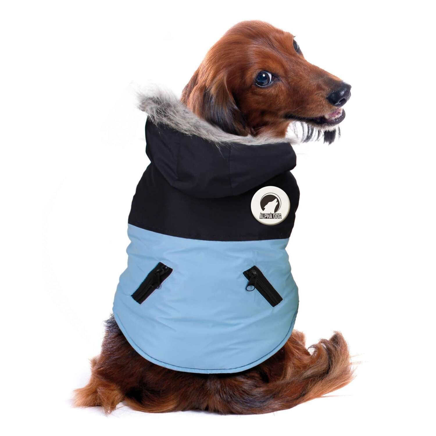 Abrigo DESIGN de ALPHA DOG 35 cm