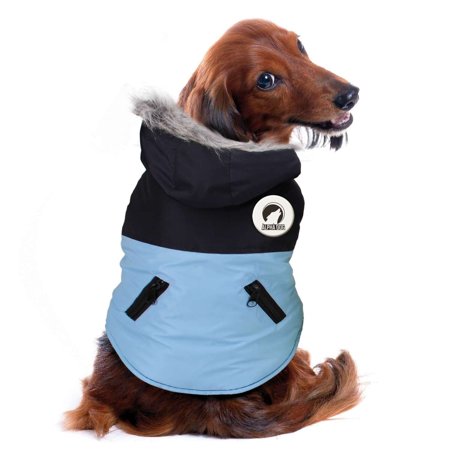 Abrigo DESIGN de ALPHA DOG 41 cm