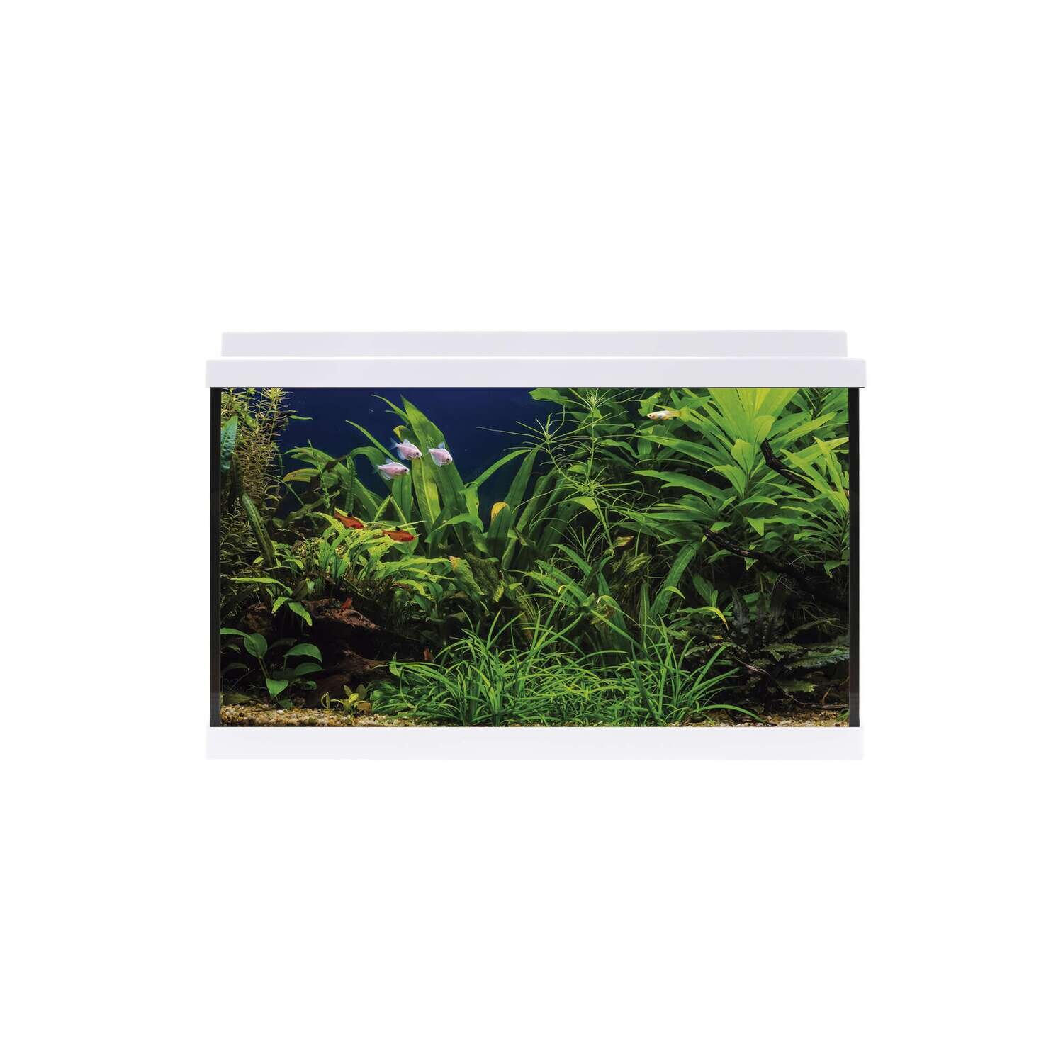 Kit AQUA LED 64 con filtro interior 59,8x30,9x40 cm