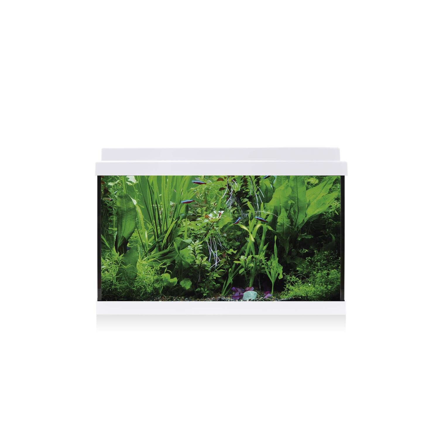 Kit AQUA LED 33 con filtro interior 49,9x24,7x32 cm
